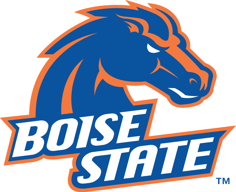 Boise State Broncos 2002-2012 Primary Logo iron on transfers for fabric